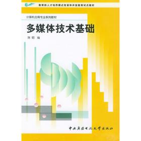Java语言程序设计（中国高等学校计算机科学与技术专业（应用型）规划教材）