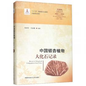 中国中生代植物大化石属名索引(1865-2005汉英对照)(精)/中国植物大化石记录