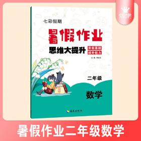 小学数学教学新论