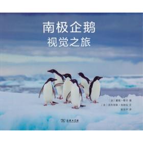 南极：“忍耐号”历险记/极地探险家自述丛书