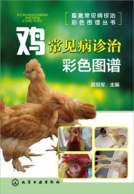 鸡常见病防治手册（富民要术丛书）