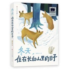 鸣唱之狐（中国原创儿童文学，从长白山走出来的动物故事。狐狸真的有灵性，它们不仅会伪装迷惑人，更会对救助自己的人类报恩）