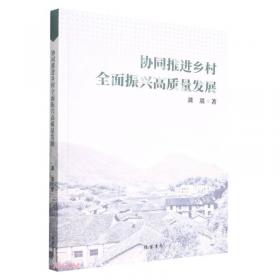 协同进化：中国可持续性城市发展