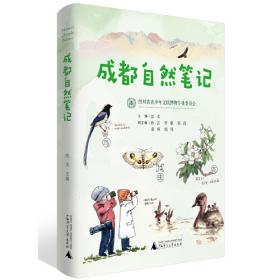 成都考古发现（2020）