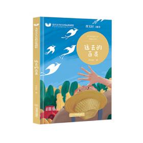 中国当代儿童文学 动物小说十家 少年与火狐