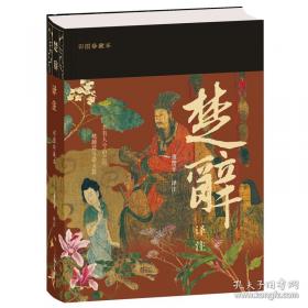 楚辞译注