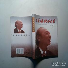 王成太极（下卷）