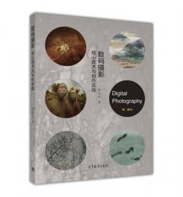 数码摄影基础/中国美术院校新设计系列教材