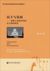 民主的中国经验