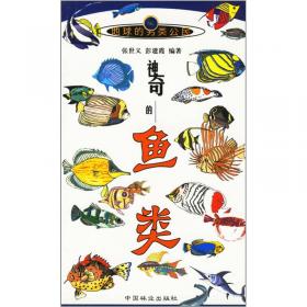 中国动物志--硬骨鱼纲:鲟形目 海