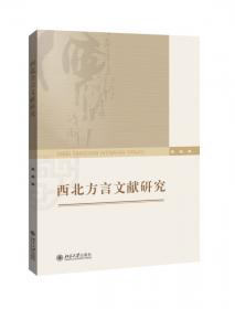 白龙江流域汉语方言语法研究