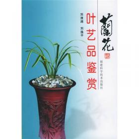 中国兰花名品珍品鉴赏图典（第三版）