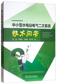 中国轻工业跨世纪发展战略