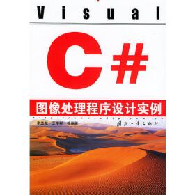 Visual Basic.NET图形图像编程与实例详解