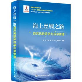 海上丝绸之路地缘风险评估与决策支持