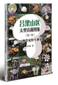 吕梁民俗
