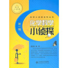 新会计审计准则系列教程：内部审计