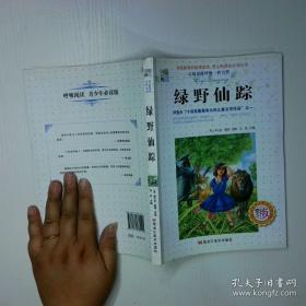 绿野仙踪：精校百回批注（上下）