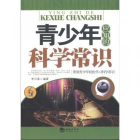 全世界孩子都爱玩的700个益智游戏