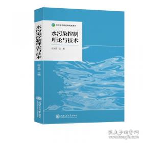 水污染物化控制原理与技术