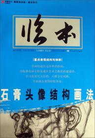 公共政策论丛·研究报告：中国社会组织的发展与转型