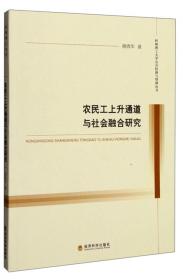 中国草根公益组织运行机制研究