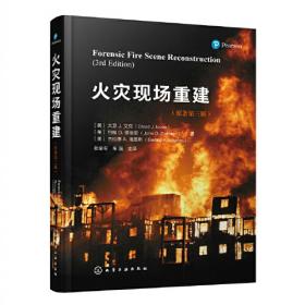 火灾后混凝土桥梁抢修技术与抢修模式/公路交通应急保障系列丛书