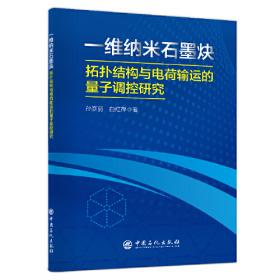 一维纳米结构材料：概念、应用和展望（英文版）