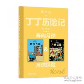 丁丁历险记·独角兽号的秘密