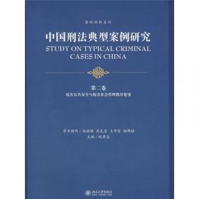 中国疑难刑事名案法理研究（第5卷）