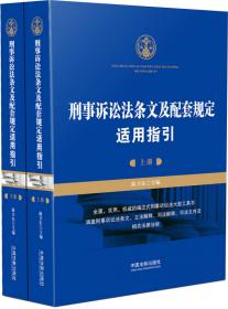 反思与建构：刑事证据的中国问题研究