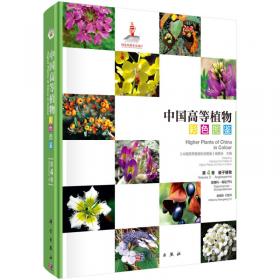 中国高等植物彩色图鉴  第八卷 被子植物 香蒲科—翡若翠科