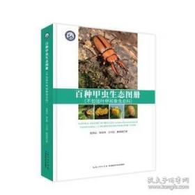 百种红色经典连环画抗美援朝篇