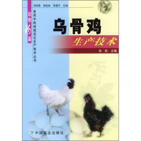 乌骨鸡 特种经济动物规模养殖关键技术丛书
