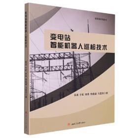 撬动全球：复杂制度环境下浙商海外直接投资高质量发展机理研究