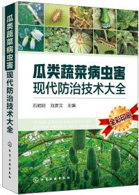 瓜类蔬菜无公害高效栽培重点、难点与实例