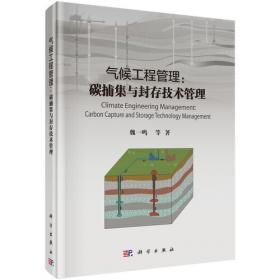 中国能源报告（2006）：战略与政策研究