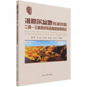 准噶尔盆地油气勘探开发系列丛书：准噶尔盆地南缘侏罗系地质剖面图集
