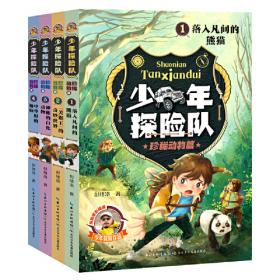 少年冒险王 升级版 第四季·探案篇（套装共4册）