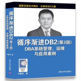 高级进阶DB2：内部结构、高级管理与问题诊断（第2版）