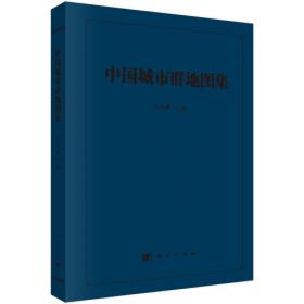 城市群地区国土空间利用质量提升理论与技术方法