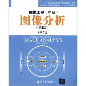 图像工程技术选编/电子信息前沿技术丛书