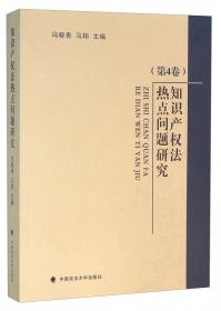 知识产权法热点问题研究