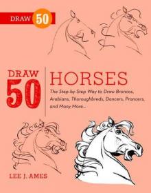 Draw 50 Birds: The Step-By-Step Way to Draw Chic 英文原版