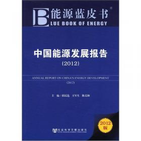 中国能源发展报告2009