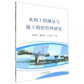 水利工程建设标准强制性条文 实施指南（2016年版）