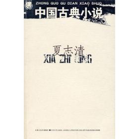 《中国现代小说史》（著名文学评论家夏志清震动中西学界的开创性著作，重构中国现代文学史的研究格局）