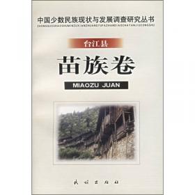 中国历代民族史丛书：隋唐民族史