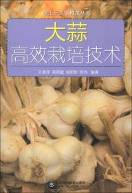 跟王乐义学种菜丛书：大葱洋葱高效栽培技术