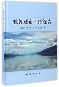 雅鲁藏布江中上游地表粉尘空间特征与演化